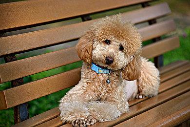 明年夏天开测《最终幻想：永恒危机》全新预告发布